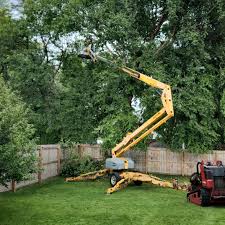 Best Storm Damage Tree Cleanup  in Sibley, LA